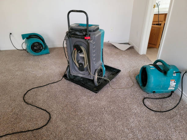 Best Water damage restoration services  in Hyde Rk, PA