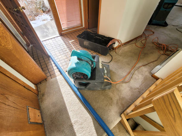 Best Water damage contractors near me  in Hyde Rk, PA