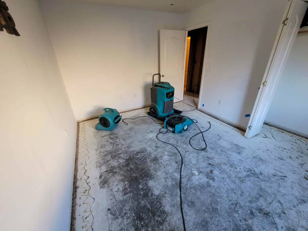 Best Basement water damage restoration  in Hyde Rk, PA