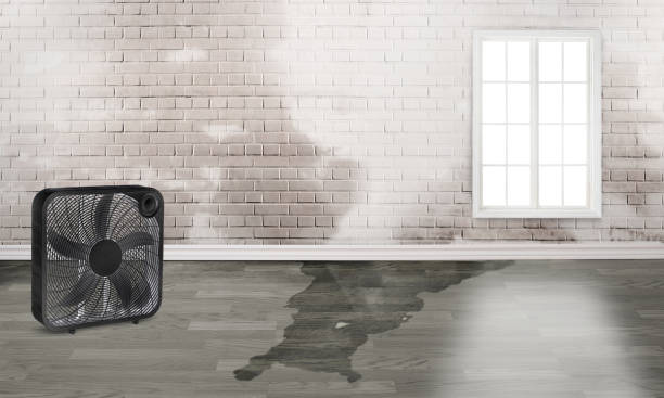 Best Flood restoration services  in Hyde Rk, PA