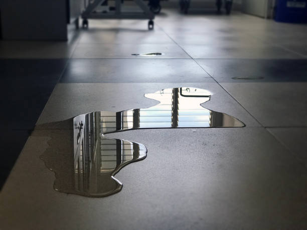 Best Commercial water damage restoration  in Hyde Rk, PA