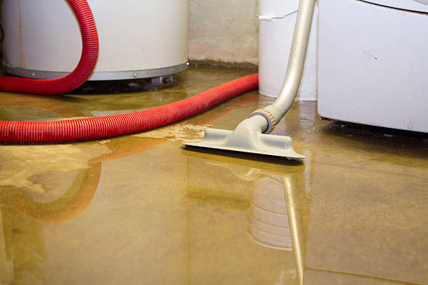 Best Water damage restoration experts  in Hyde Rk, PA