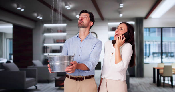 Best Water damage contractors near me  in Hyde Rk, PA